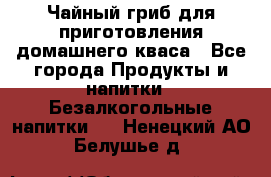 Чайный гриб для приготовления домашнего кваса - Все города Продукты и напитки » Безалкогольные напитки   . Ненецкий АО,Белушье д.